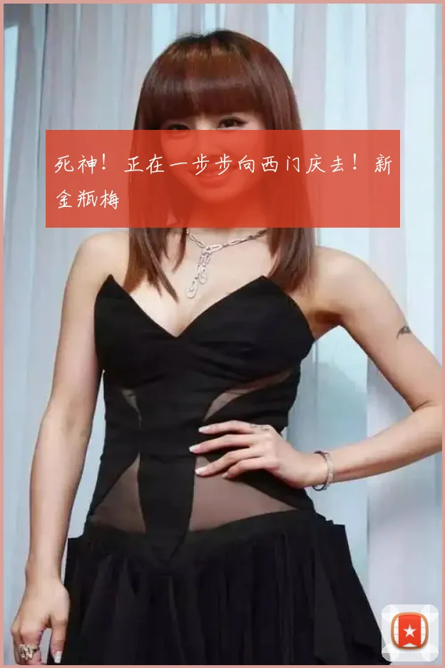 死神！正在一步步向西门庆去！新金瓶梅
