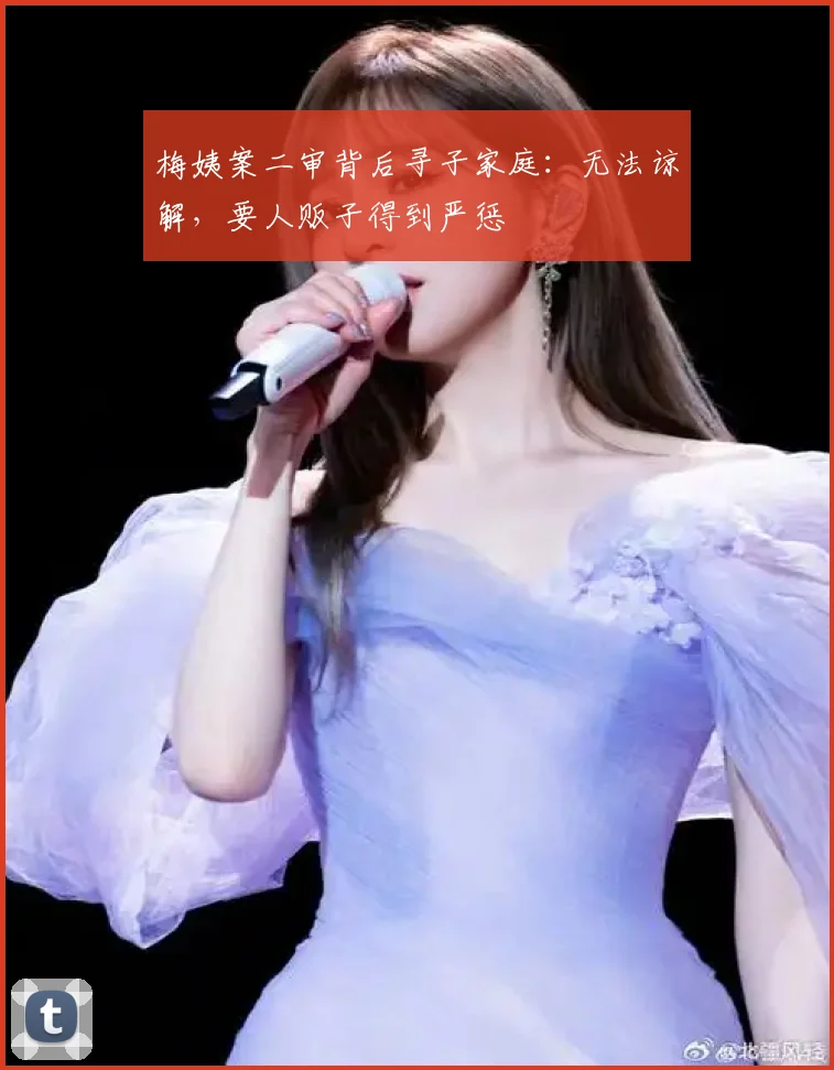 梅姨案二审背后寻子家庭:无法谅解,要人贩子得到严惩