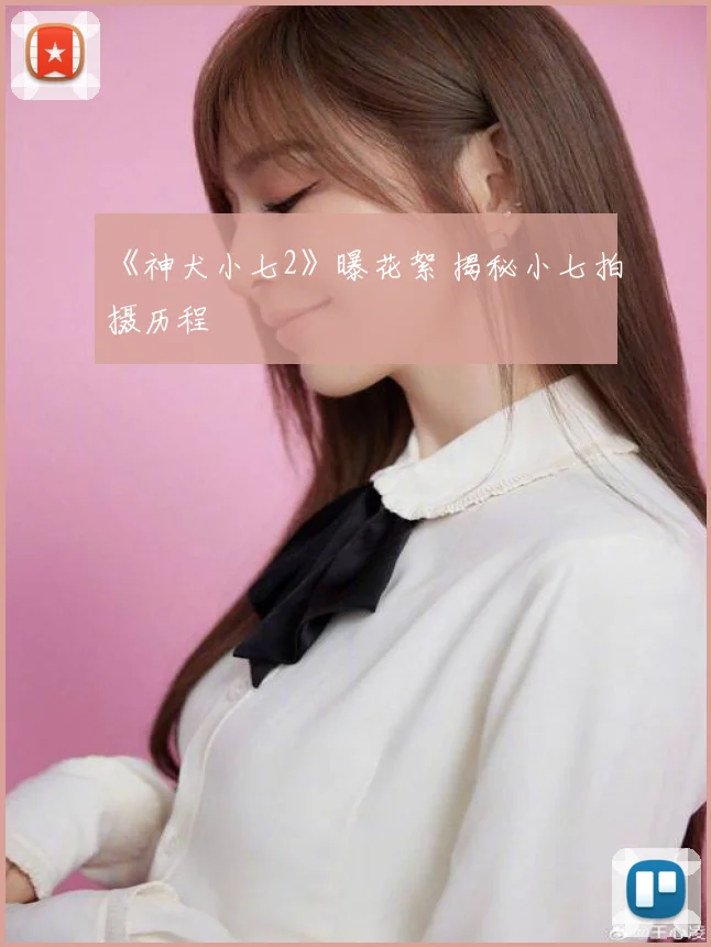 《神犬小七2》曝花絮 揭秘小七拍摄历程