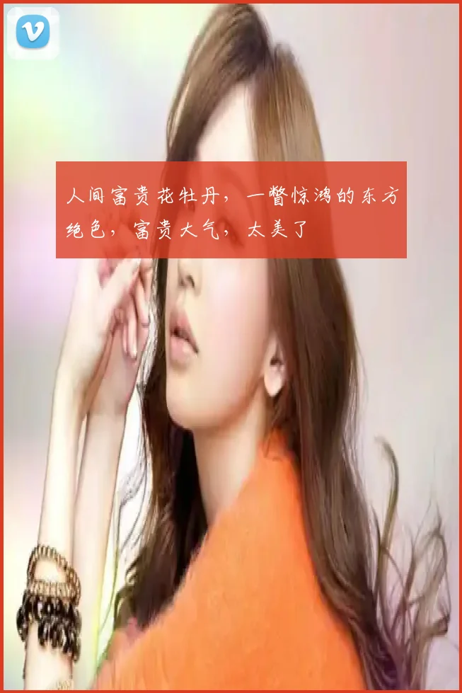 人间富贵花牡丹,一瞥惊鸿的东方绝色,富贵大气,太美了