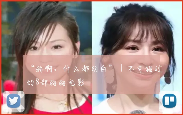 “狗啊，什么都明白”｜不可错过的8部狗狗电影