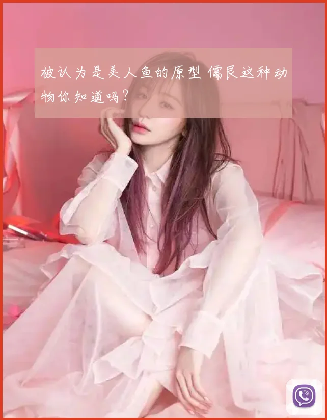 被认为是美人鱼的原型 儒艮这种动物你知道吗?