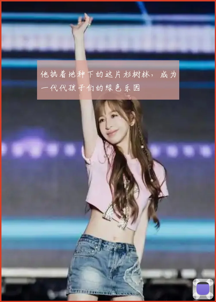 他执着地种下的这片杉树林,成为一代代孩子们的绿色乐园