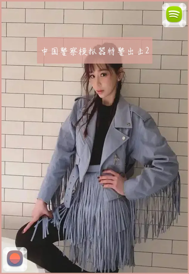 中国警察模拟器特警出击2