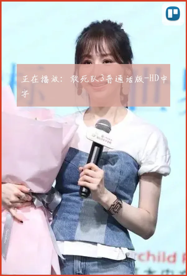 正在播放：敢死队3普通话版-HD中字