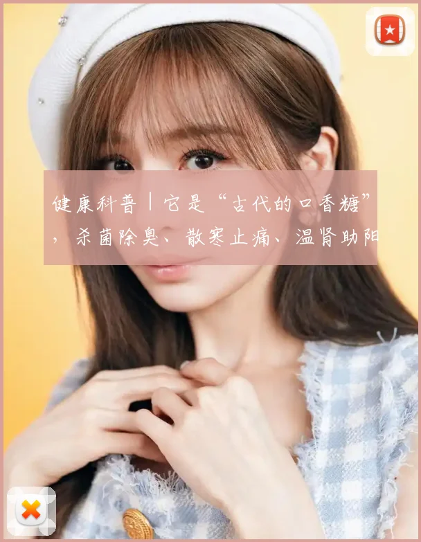 健康科普｜它是“古代的口香糖”，杀菌除臭、散寒止痛、温肾助阳