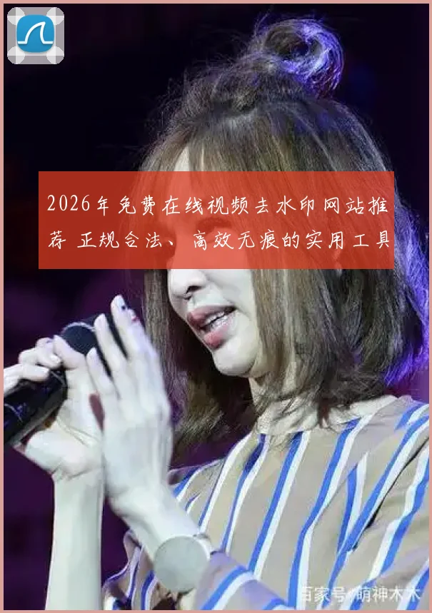 2026年免费在线视频去水印网站推荐 正规合法、高效无痕的实用工具