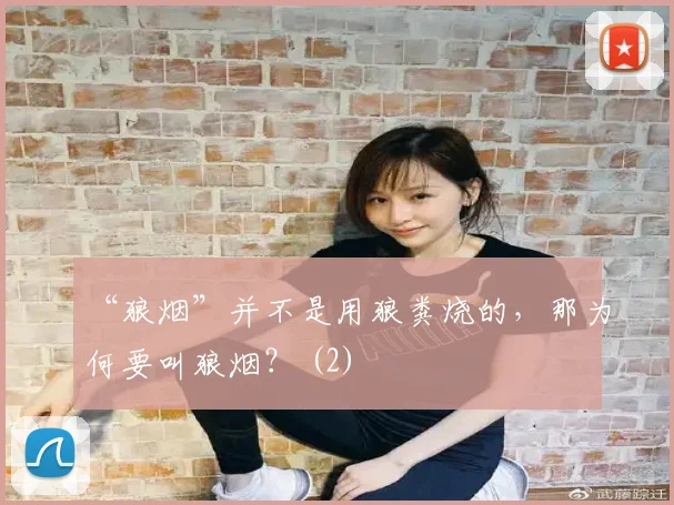 “狼烟”并不是用狼粪烧的，那为何要叫狼烟？ (2)