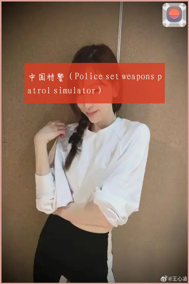 中国特警（Police set weapons patrol simulator）