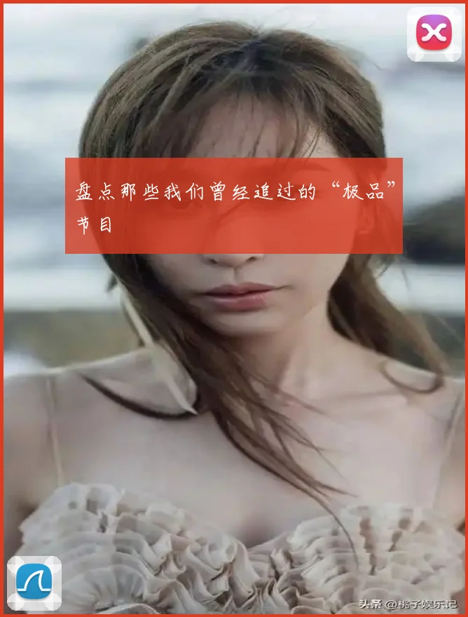 盘点那些我们曾经追过的“极品”节目