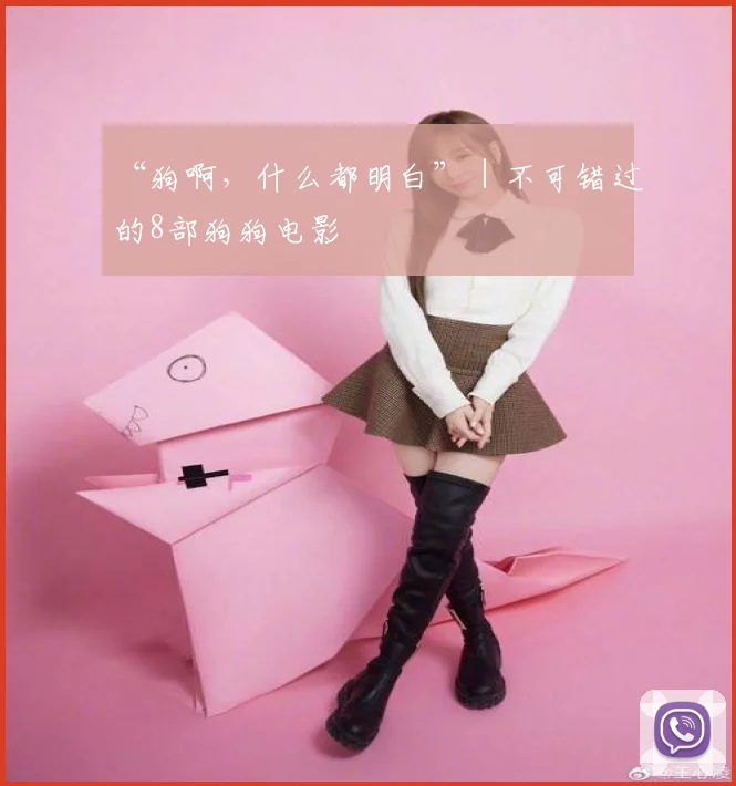 “狗啊，什么都明白”｜不可错过的8部狗狗电影
