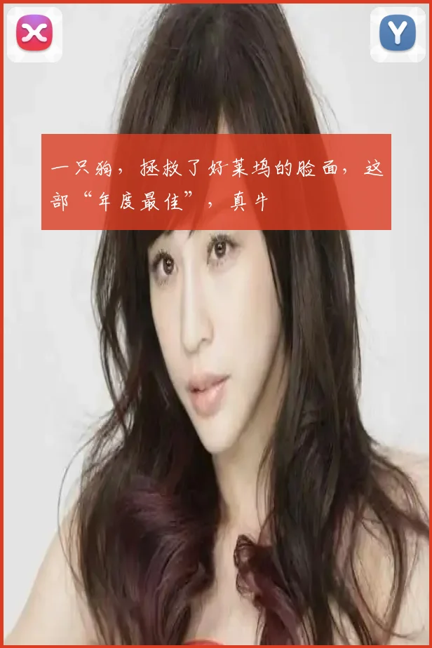 一只狗，拯救了好莱坞的脸面，这部“年度最佳”，真牛