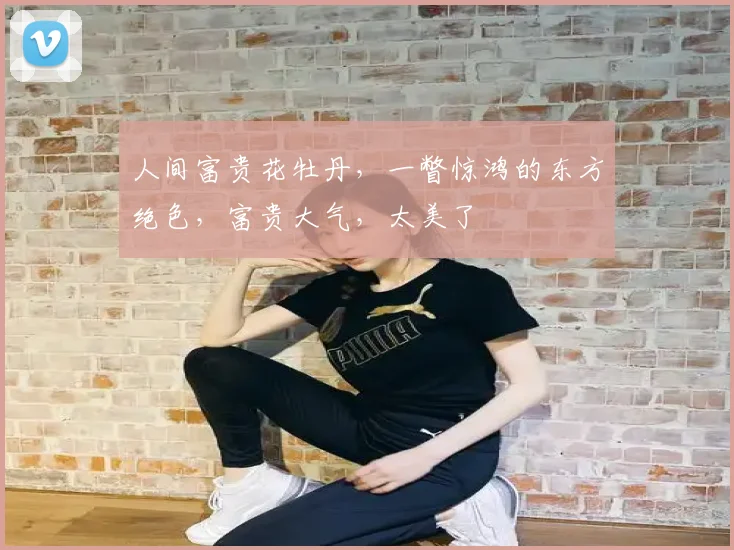 人间富贵花牡丹,一瞥惊鸿的东方绝色,富贵大气,太美了