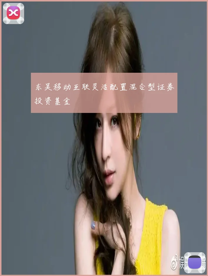 东吴移动互联灵活配置混合型证券投资基金