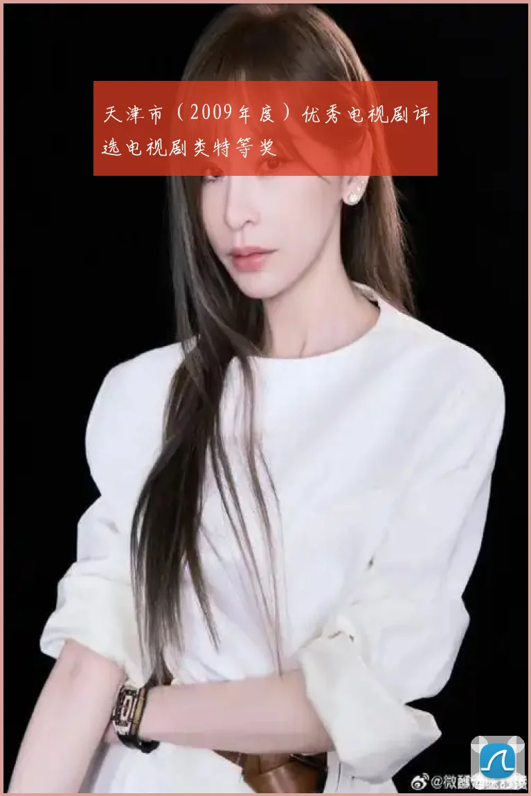 天津市(2009年度)优秀电视剧评选电视剧类特等奖