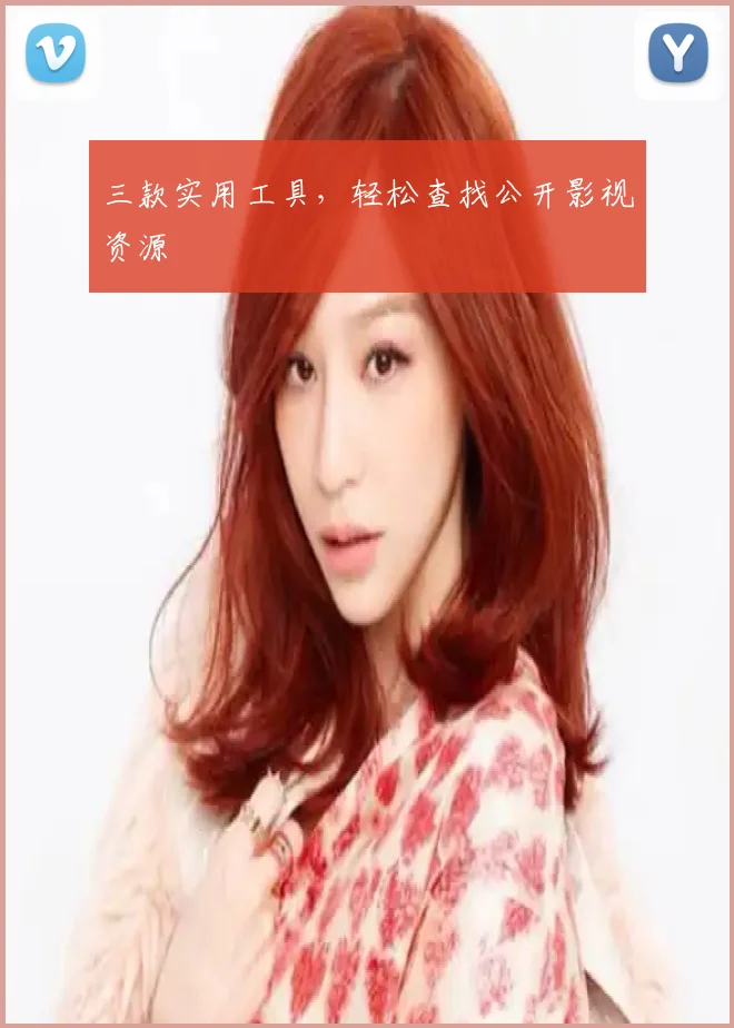 三款实用工具,轻松查找公开影视资源