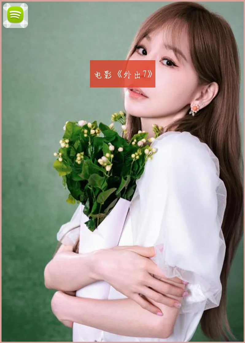 电影《外出7》