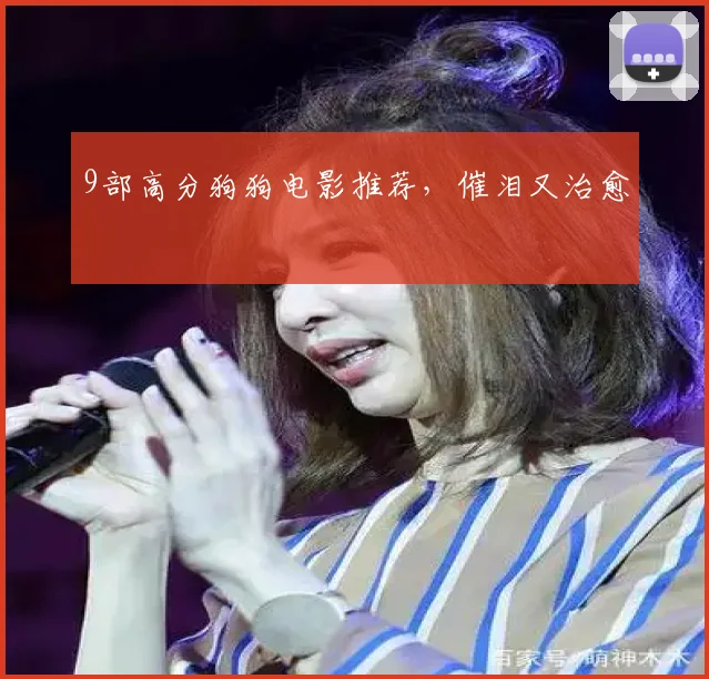 9部高分狗狗电影推荐，催泪又治愈