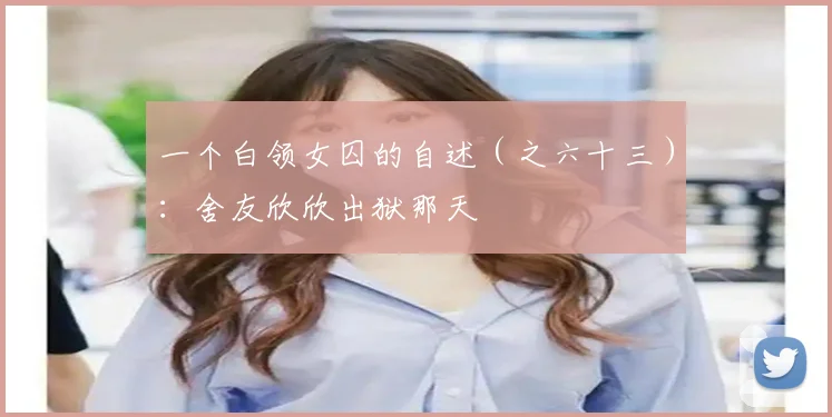 一个白领女囚的自述(之六十三):舍友欣欣出狱那天