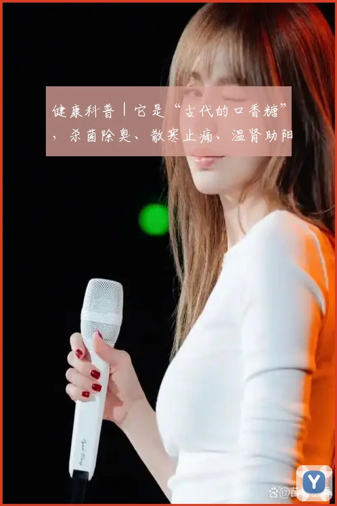 健康科普｜它是“古代的口香糖”，杀菌除臭、散寒止痛、温肾助阳