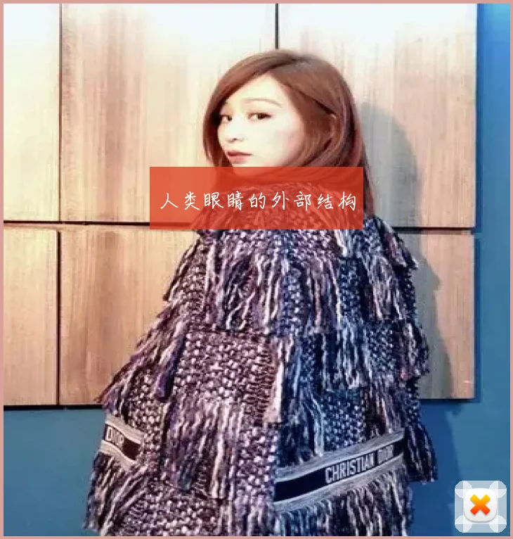 人类眼睛的外部结构