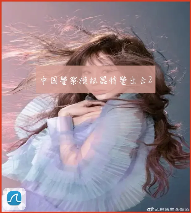 中国警察模拟器特警出击2