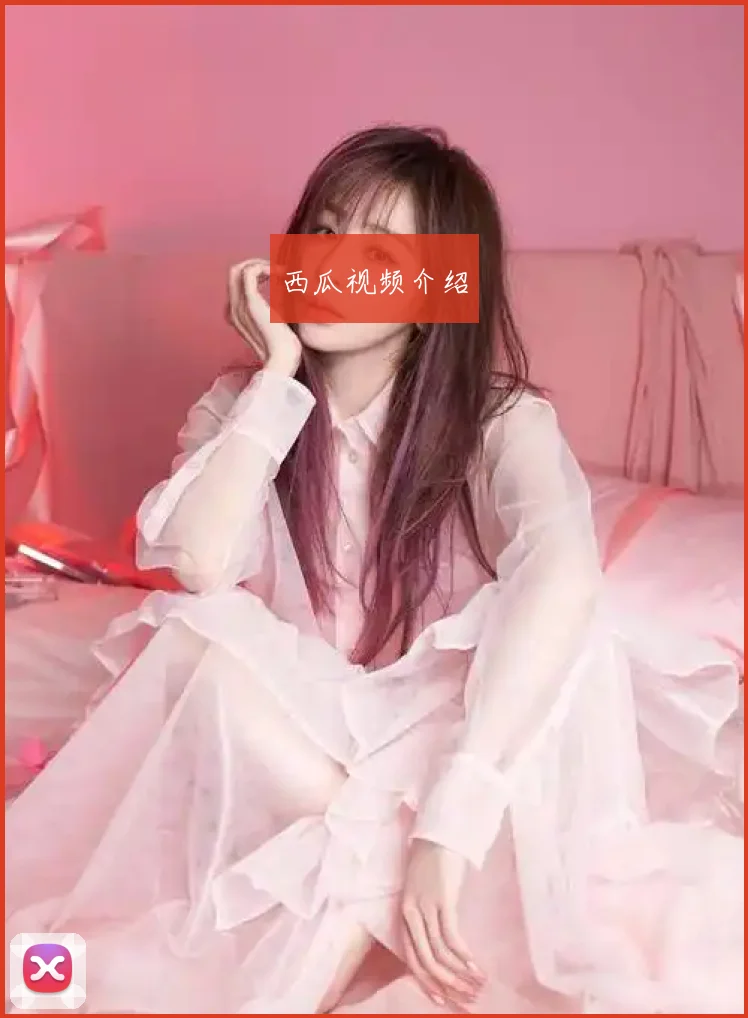 西瓜视频介绍