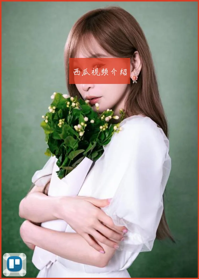 西瓜视频介绍