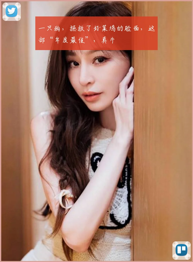 一只狗，拯救了好莱坞的脸面，这部“年度最佳”，真牛