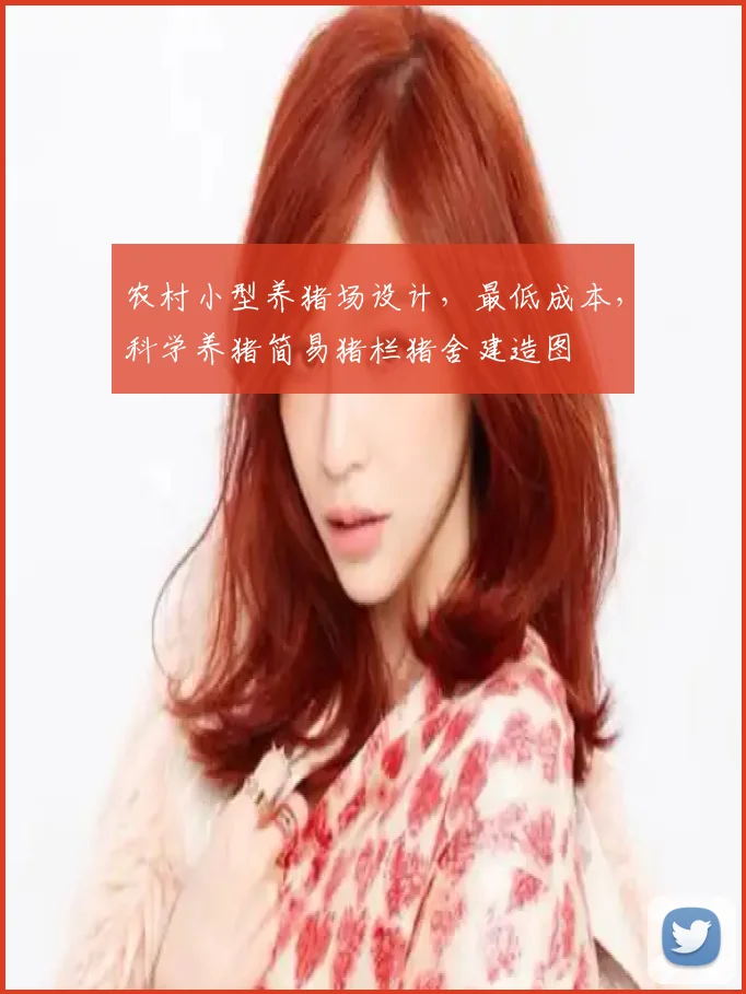 农村小型养猪场设计，最低成本，科学养猪简易猪栏猪舍建造图